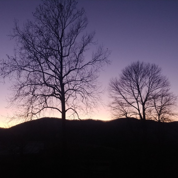 Meet your Posher, Madison - Picture 1 of 1